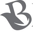 Bitlead internet -logo